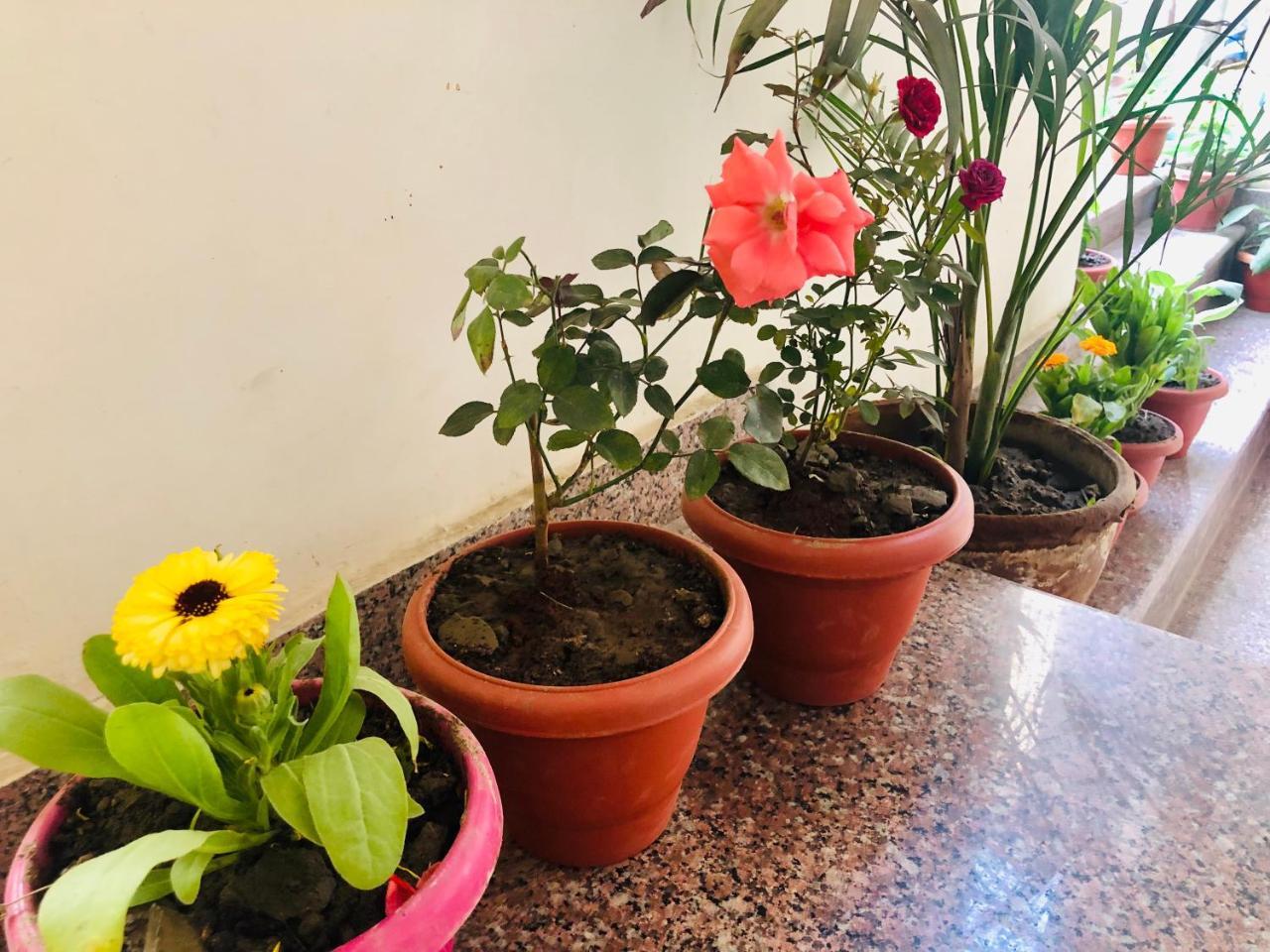 Gangotri Paying Guest House Benares Buitenkant foto